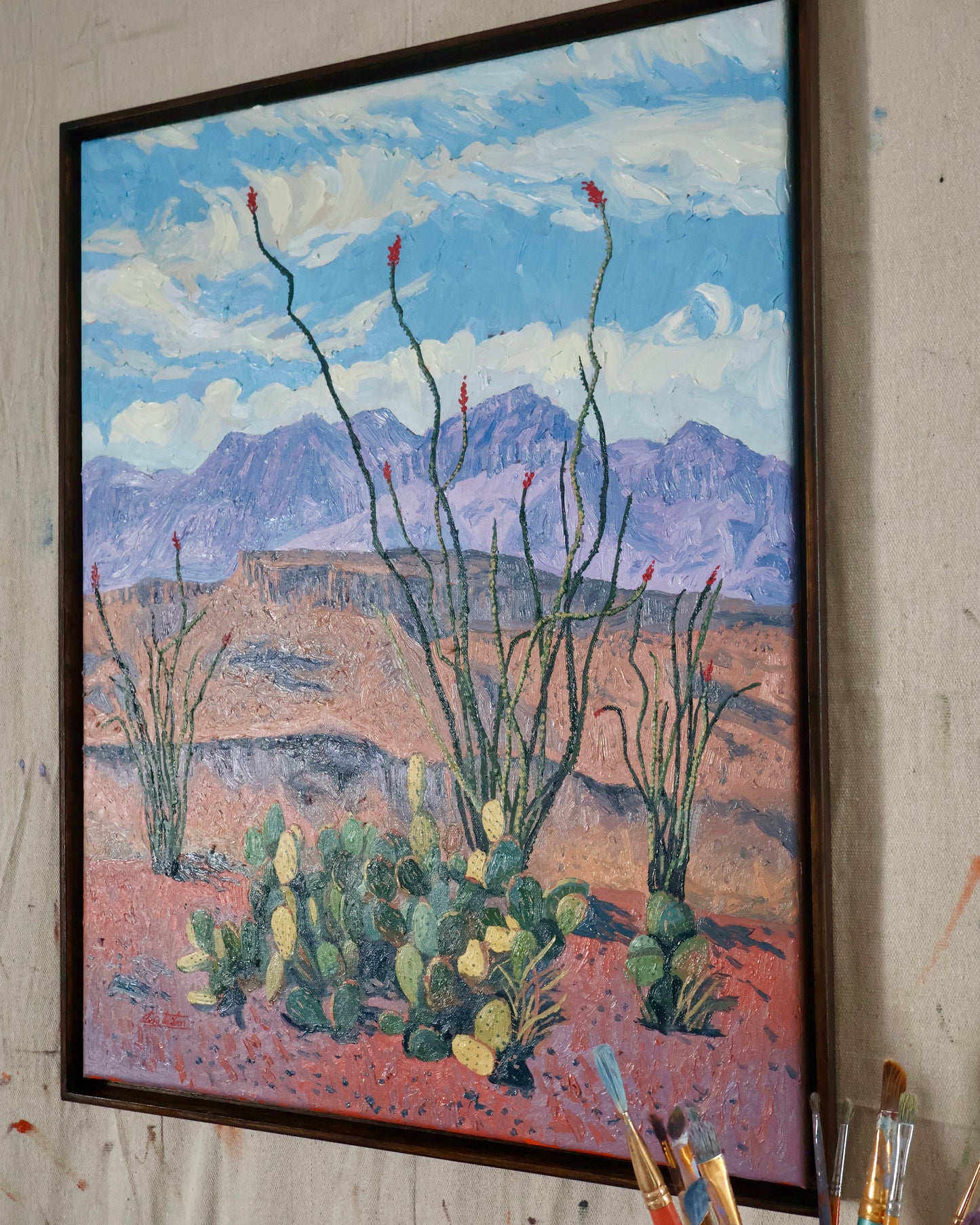 Ocotillo in Bloom - Original