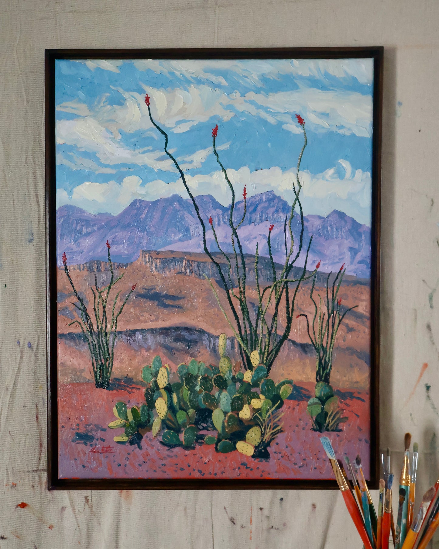 Ocotillo in Bloom - Original