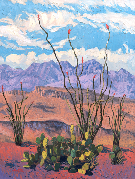 Ocotillo in Bloom - Print