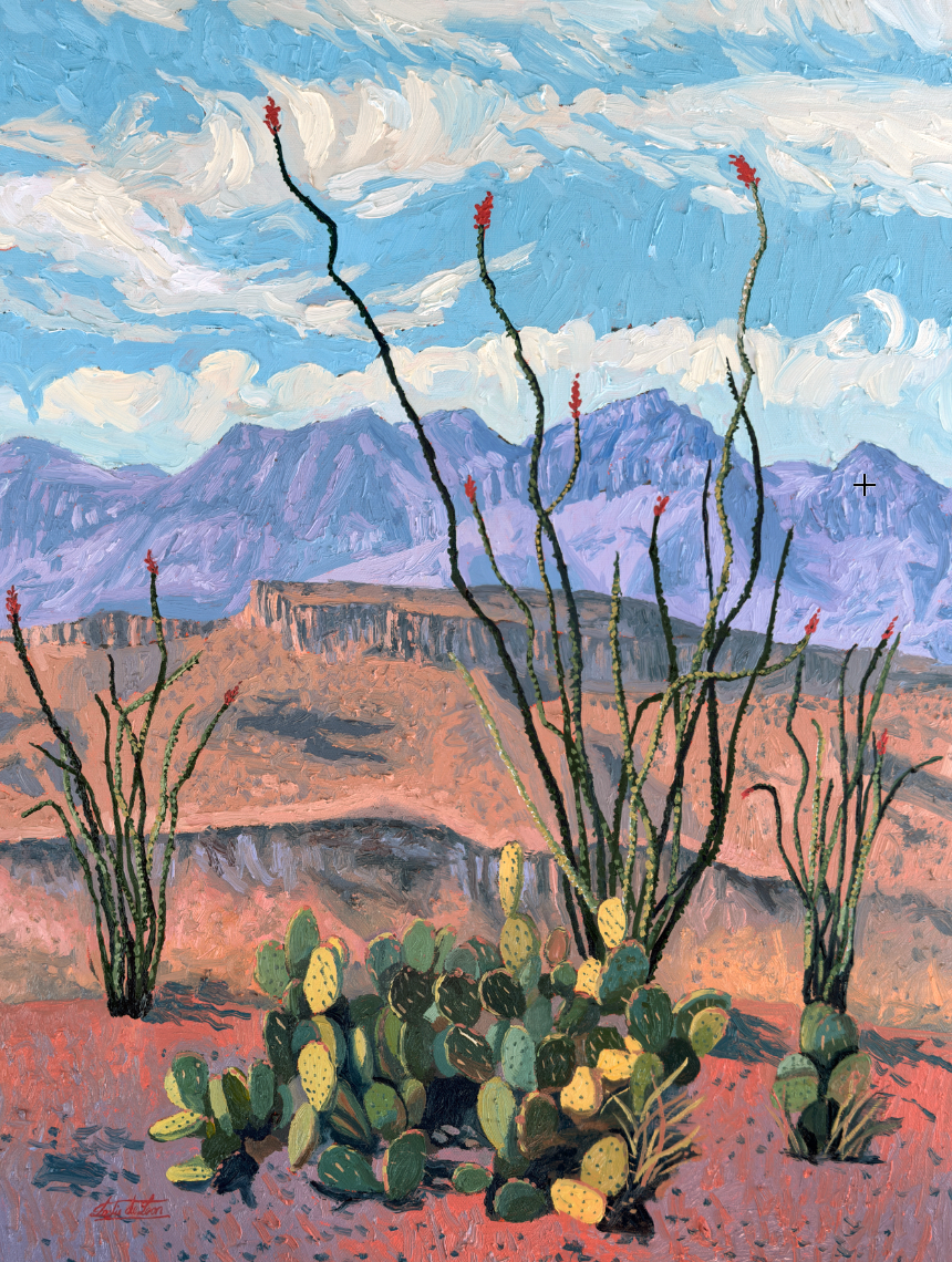 Ocotillo in Bloom - Original