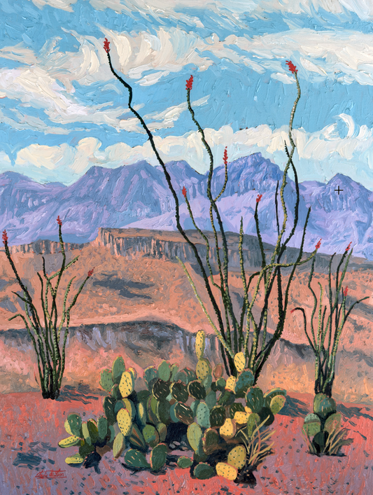 Ocotillo in Bloom - Original